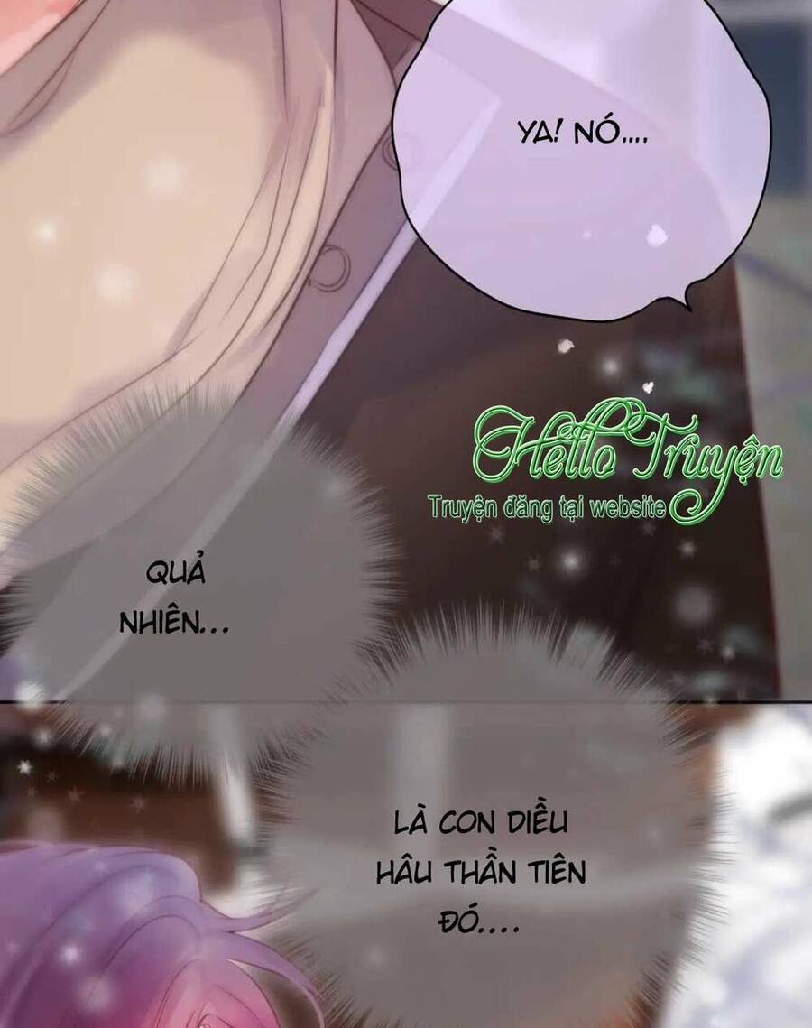 page_28