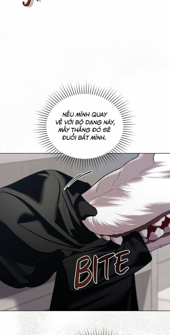 page_51