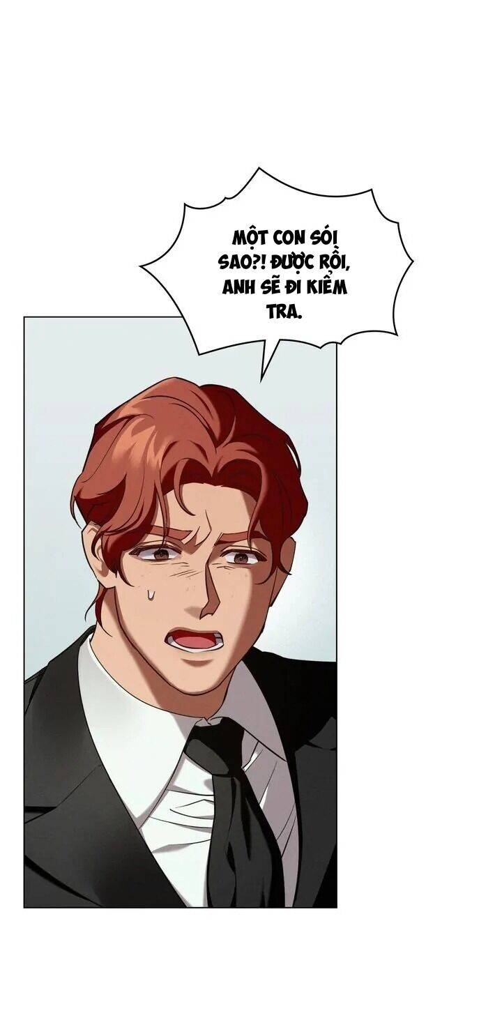 page_28