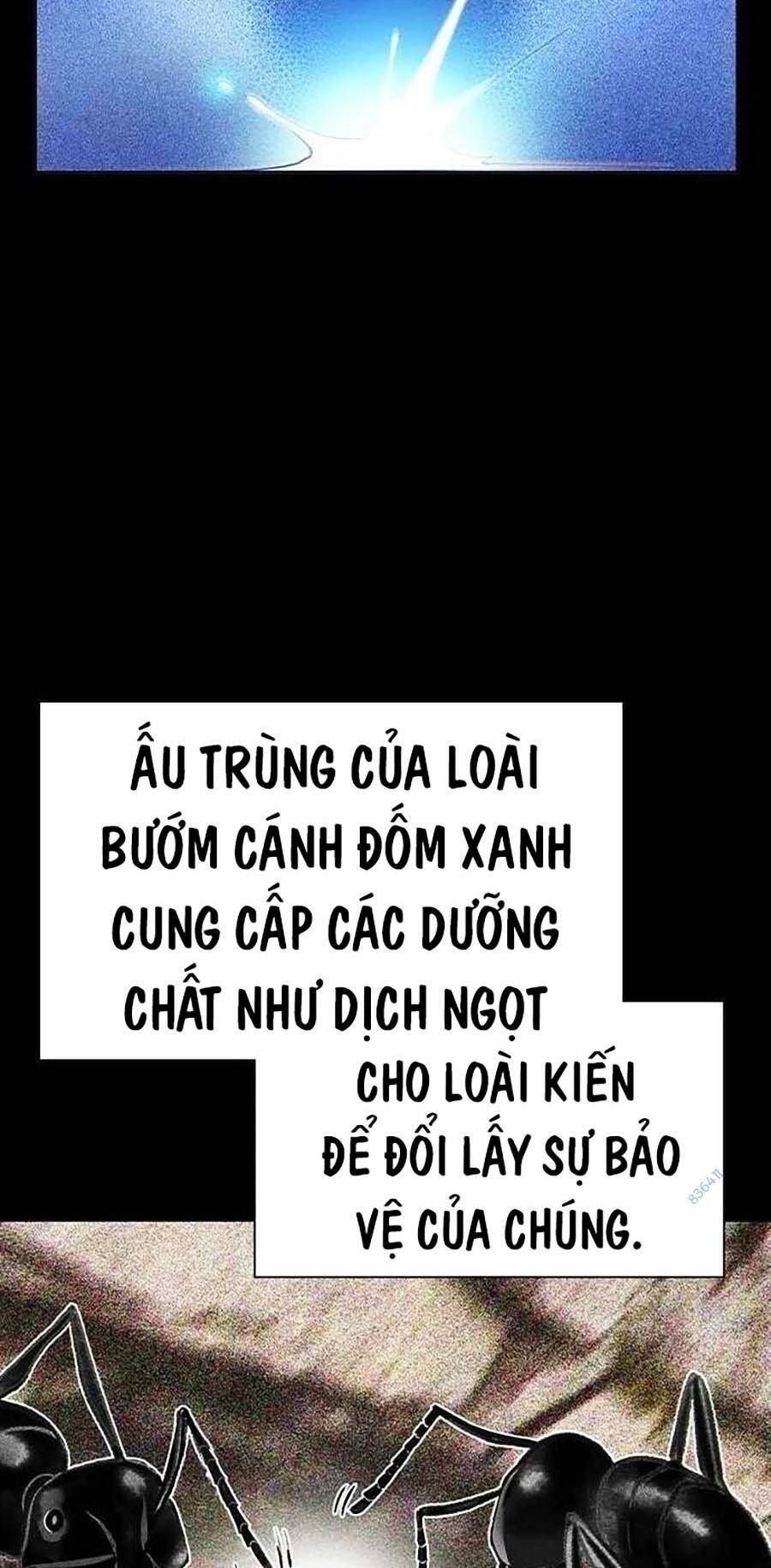 page_40