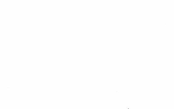 page_31