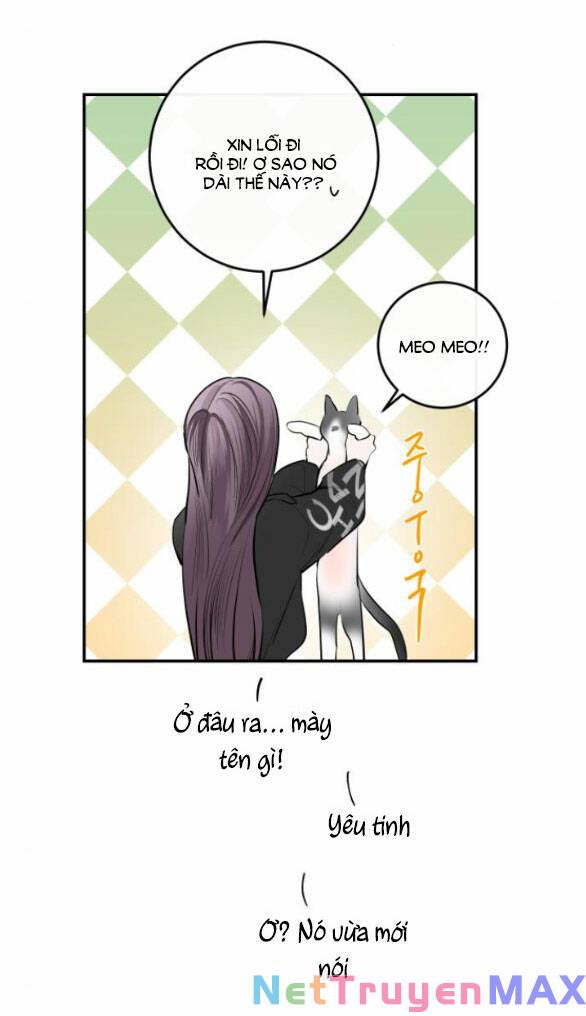 page_29