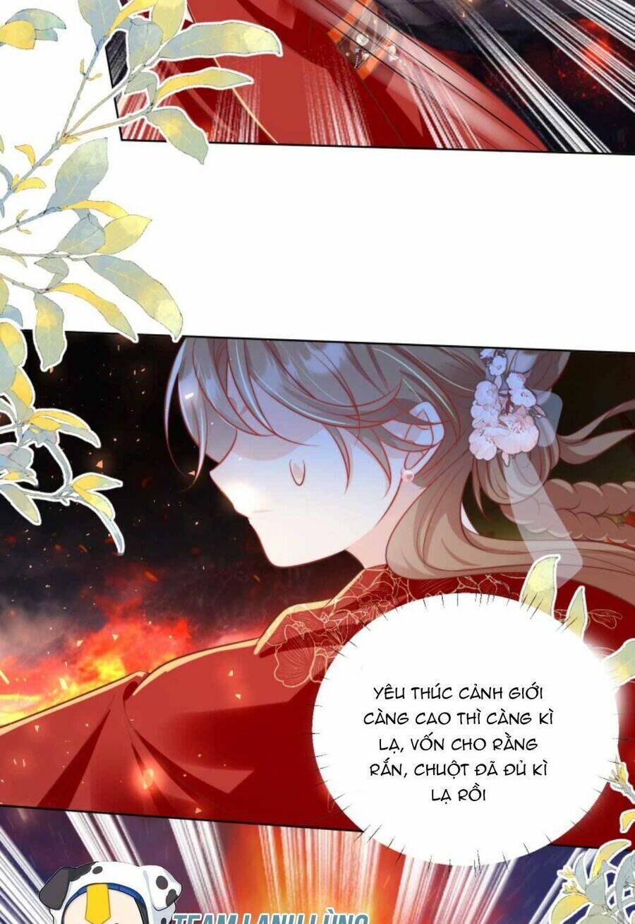 page_29