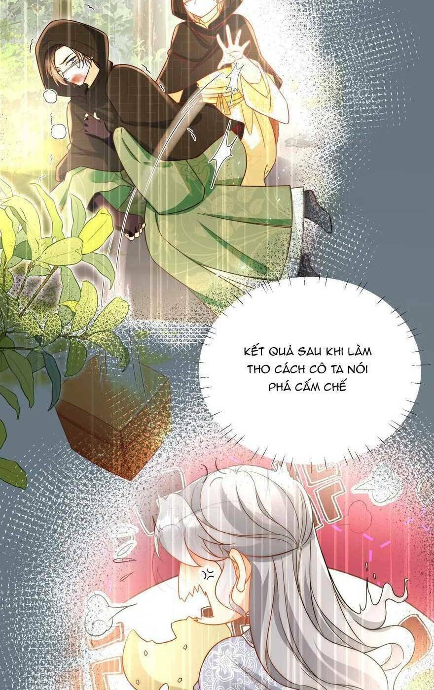 page_29