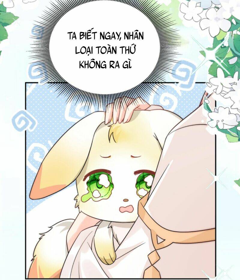 page_21