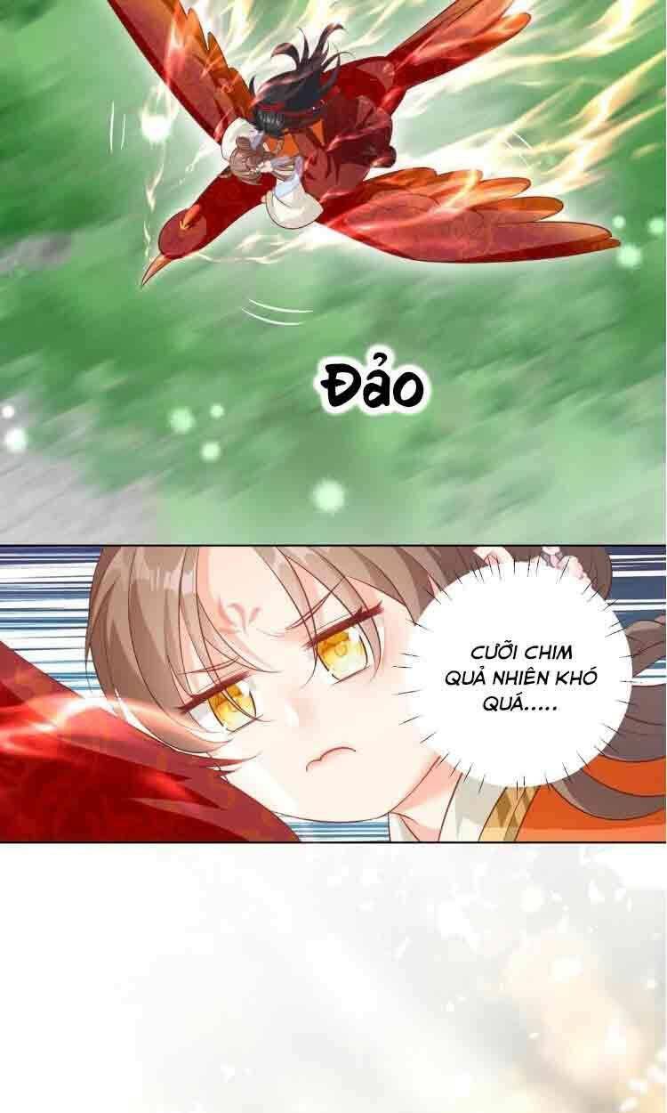 page_8